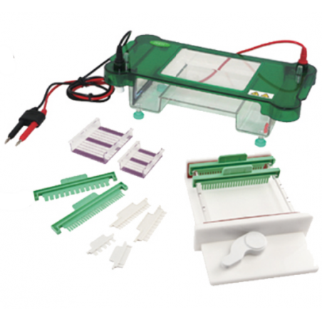 Électrophorèse horizontale FSF-SPHT