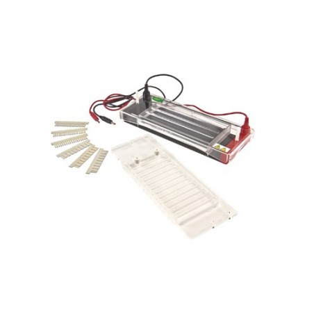 Cellule d'électrophorèse horizontale FSF-SP3