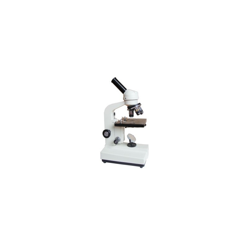 Microscope-FSF-31-640X