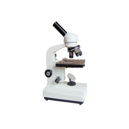 Microscope-FSF-31-640X