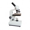 Microscope-FSF-31-640X