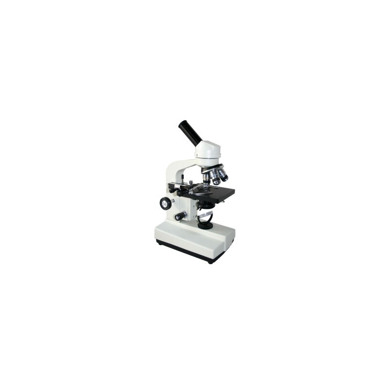Microscope-FSF-33-1600X