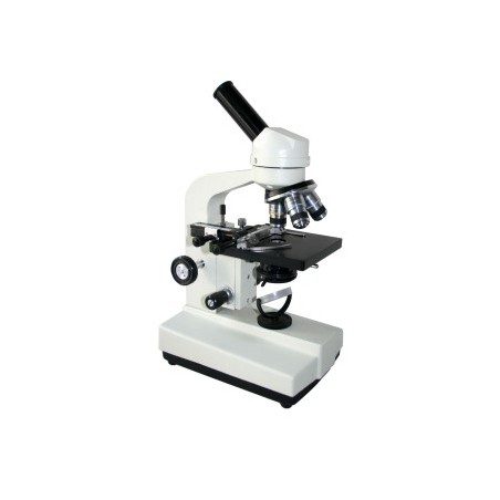 Microscope-FSF-33-1600X