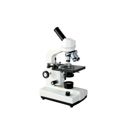 Microscope-FSF-35-1600X