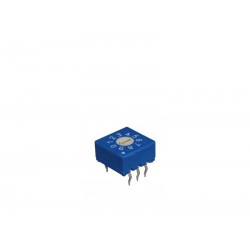 Roue Codeuse Decimal